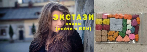 скорость Каменка