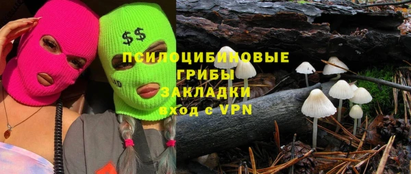 винт Каменногорск