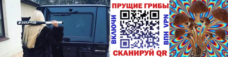 Псилоцибиновые грибы Psilocybe  Купить где  Котовск 