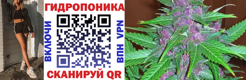 Бошки Шишки LSD WEED Котовск